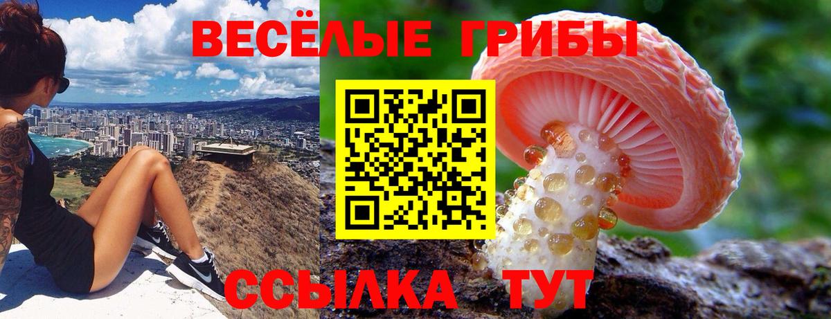 купить наркотик  Вход с VPN  Печора  Галлюциногенные грибы Psilocybe 